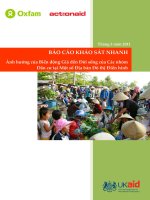 Báo cáo khảo sát nhanh về ảnh hưởng của biến động giá đến đời sống của các nhóm dân cư tại một số địa bàn đô thị 