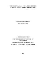 USE OF DUNALIELLA FOR CARBON DIOXIDE CAPTURE AND GLYCEROL PRODUCTION 