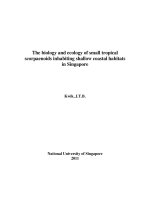 The biology and ecology of small tropical scorpaenoids inhabiting shallow coastal habitats in singapore 