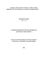 Global collective action a structural perspective on energy and climate cooperation 