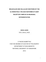 Molecular and cellular functions of the alternatively spliced isoforms of GDNF receptor complex in neuronal differentiation 