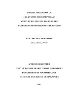 CHARACTERISATION OF    GLUTAMYL TRANSPEPTIDASE AND ELUCIDATING ITS ROLES IN THE PATHOGENESIS OF HELICOBACTER PYLORI 