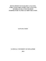 DEVELOPMENT OF NI BASED CATALYTIC, CERIA NANO STRUCTURES AND CATALYTIC MEMBRANE REACTOR OF HIGH TEMPERATURE WATER GAS SHIFT REACTION 