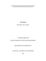 Age related effects of apolipoprotein e genotypes on cholesterol metabolism and insulin signaling 
