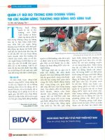 Quản lý rủi ro trong kinh doanh vàng tại các ngân hàng thương mại bằng mô hình var 