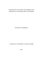 Multiscale dynamics of bubbles and droplets in microfluidic networks 