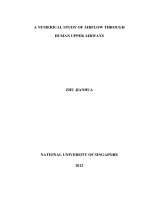 A numerical study of airflow through human upper airways 