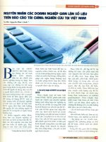 Nguyên nhân các doanh nghiệp gian lận số liệu trên báo cáo tài chính   nghiên cứu tại việt nam 