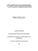 IONIC LIQUIDS FOR CELLULOSE PROCESSING AND CARBON CAPTURE FROM FIRST PRINCIPLES CALCULATIONS TO ATOMISTIC SIMULATIONS 