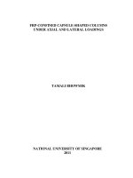 FRP confined capsule shaped columns under axial and lateral loading 