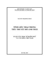 Tính giễu nhại trong tiểu thuyết hồ anh thái