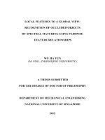 Local features to a global view  recognition of occluded objects by spectral matching using pairwise feature relationships 