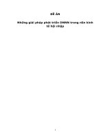 Những giải pháp phát triển DNNN trong nền kinh tế hội nhập