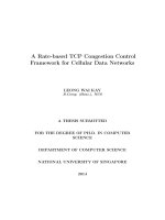 A rate based TCP congestion control framework for cellular data networks 