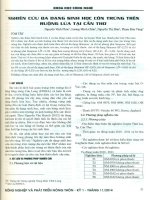 Nghiên cứu đa dạng sinh học côn trùng trên ruộng lúa tại cần thơ 