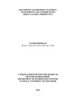 Electronic government maturity antecedents and consequences from a global perspective 