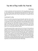 Tục thờ cá ông ở miền tây nam bộ 