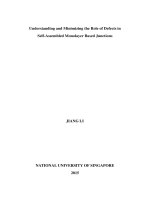 UNDERSTANDING AND MINIMIZING THE ROLE OF DEFECTS IN SELF ASSEMBLED MONOLAYER BASED JUNCTIONS 
