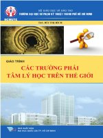 Giáo trình các trường phái tâm lí học trên thế giới