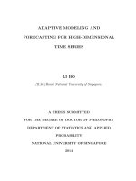 Adaptive modeling and forecasting for high dimensional time series 
