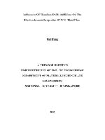 Influences of titanium oxide additions on the electrochromic properties of WO3 thin films 