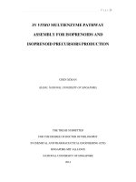 In vitro multienzyme pathway assembly for isoprenoids and isoprenoid precursors production 