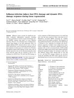 DEVELOPMENT AND APPLICATION OF NEW APPROACHES FOR STUDIES OF INFLUENZA INDUCED INFLAMMATION AND DNA DAMAGE 