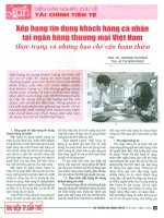 Xếp hạng tín dụng khách hàng cá nhân tại ngân hàng thương mại việt nam   thực trạng và những hạn chế cần hoàn hiện 