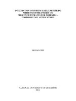 Integration of indium gallium nitride with nanostructures on silicon substrates for potential photovoltaic applications 