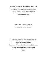Shaping artificial receptors through nanoparticle surface imprinting of biomolecules using miniemulsion polymerization 
