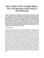 Phát triển nông nghiệp đồng bằng sông cửu long    tái cơ cấu thích ứng với thị trường và biến đổi khí hậu 