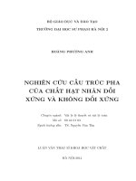 Nghiên cứu cấu trúc pha của chất hạt nhân đối xứng và không đối xứng