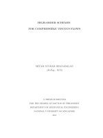 High order schemes for compressible viscous flows 