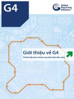Giới thiệu về g4   thế hệ tiếp theo về báo cáo phát triển bền vững 