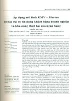 Áp dụng mô hình KMV   merton dự báo rủi ro tín dụng khách hàng doanh nghiệp và khả năng thiệt hại của ngân hàng 