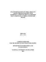 ENANTIOSEPARATION OF CHIRAL DRUGS IN LIQUID CHROMATOGRAPHY WITH ANTIBIOTIC CAPPED MACROCYCLE BONDED SILICA PARTICLES AS CHIRAL STATIONARY PHASES 