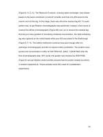 Structural characterization and biochemical analysis of ID2, an inhibitor of DNA binding 3 