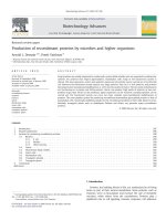 Production of recombinant proteins by microbes and higher organisms demain 2009