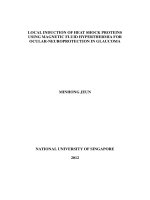 Local induction of heat shock proteins using magnetic fluid hyperthermia for ocular neuroprotection in glaucoma 