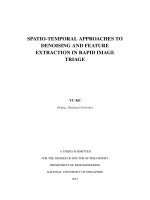 Spatio temporal approaches to denoising and feature extraction in rapid image triage 