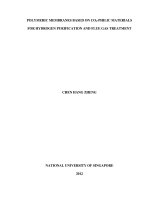 Polymeric membranes based on CO2 philic materials for hydrogen purification and flue gas treatment 