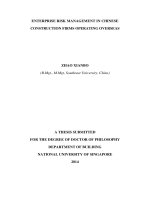 Enterprise risk management in chinese construction firms operating overseas 