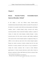 Development of immersed boundary methods for isothermal and thermal flows 3 
