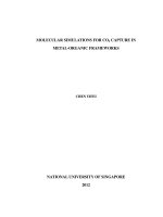 Molecular simulations for CO2 capture in metal organic frameworks 