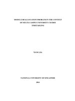 Module reallocation problem in the context of multi campus university course timetabling 