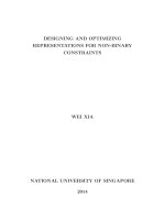 Designing and optimizing representations for non binary constraints 