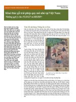 Khai thác gỗ trái phép quy mô nhỏ tại việt nam   những gợi ý cho FLEGT và REDD+ 