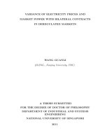 Variance of electricity prices and market power with bilateral contracts in deregulated markets 