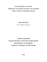 Palladium(II) catalyzed oxidative functionalization of c h bonds using alkyne as building block 