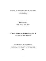 Interface investigation in organic solar cells 